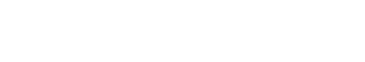 Statlook — oficjalne logo producenta